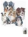 10 Porcelain Treat Jar - Barbara Keith's Gallery Collection of Australian Shepherds