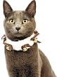 Holiday Cat Collar with Faux Fur, Jingle Bells & Tartan Plaid Bows - Size Small