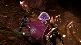 Dungeon Siege 3 - Demo [Download]
