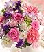 Pastel Blush