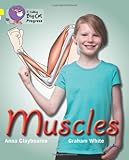 Muscles