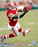 Dwayne Bowe , 8x10