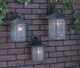 Quoizel Chaparral 13" Wall Light