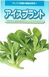 【種子】アイスプラント・プチサラ