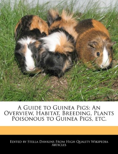 A Guide to Guinea Pigs: An Overview, Habitat, 