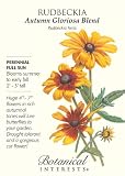 Amazon / Hirts: Seed; Perennial: Autumn Gloriosa Rudbeckia Seeds - 1 gram