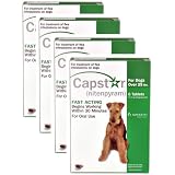 4 PACK CAPSTAR Green for Dogs over 25 lbs(24 tablets)