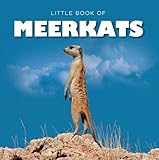 Little book of meerkats