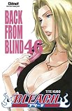 Bleach, Tome 46 : Back from blind