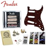 Fender Hot Noiseless Guitar Pickups with Stratocaster Accessories - Includes: Tortoise Shell Pickguard, 5-way Switch, 3-250k Volume Pots, Guitar Polish & DPS Polishing Cloth