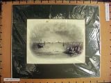 C1880 į��� Sulima �θ�����Υɥʥ��Υܡ��ȤΥ��ҥ��õ��