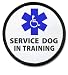 DISABLED SERVICE DOG IN TRAINING Black Rim Medical Alert 2.5 inch Sew-on Patch