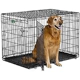 MidWest iCrate Double-Door Folding Metal Dog Crate, 42 Inches by 28 Inches by 30 Inches