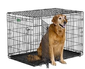 Midwest iCrate Double-Door Folding Metal Dog Crate, 42 Inches by 28 Inches by 30 Inches
