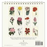 Botanica Cavallini 2009 Vintage Prints easel desk calendar 6 by 6.5 inches Cream Laid paper finish