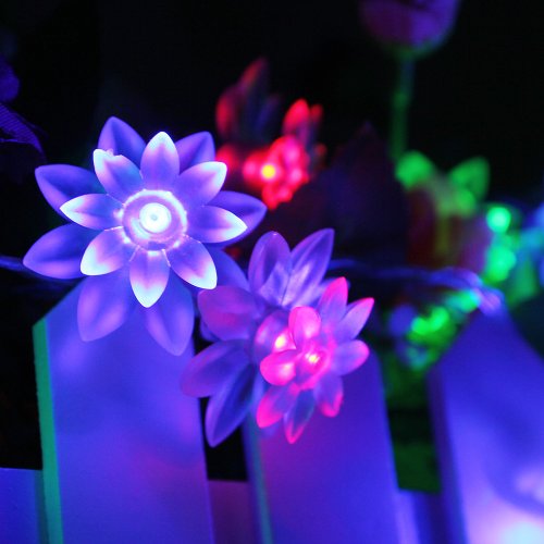 examen Innoo Tech** 4M Guirlande lumineuse à Piles 40 LED fleurs de lotus, décoration mariages, Noël, jardin, ect (Multicolore)