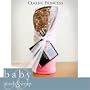 Baby Wash and WrapTM Soft Hooded Bath Towel for Baby, Bathing Apron Keeps You Dry CLASSIC PRINCESS
