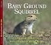 Baby Ground Squirrel (Nature Babies)