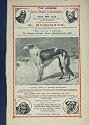 Dogs Dogs Kennel Kennels Sanatorium Musgrave Old Print