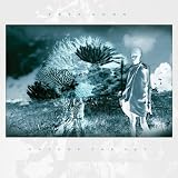 Untune the Sky: +DVD