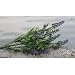 Decorative Home&garden Artificial Plants/artificial Flowers Floral--- Lavender 2pc Set, Purple (Free Shipping)