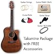 Takamine EF340SCGN Package Deal Acoustic Electric Dreadnought Guitar Cutaway Antique Satin With Case - Strings, Picks, Cloth, Strap, & Cable