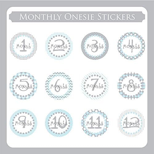 Stylish Blues Monthly Onesie Stickers