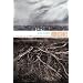Understories: The Political Life of Forests in Northern New Mexico