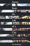 Scenes from the life of a city : corruption and conscience in old New York