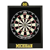 Dartboard Backboard Dart Board Back - Michigan