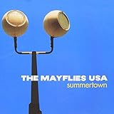 Summertown mayfly
