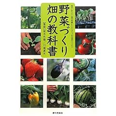 野菜づくり畑の教科書―意外と知らない基本常識からレベルアップの作業のコツまで