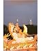 10x8 Photograph (25x20cm) Thean Hou Buddhist Temple by Robert Harding