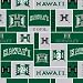 60'' Wide Collegiate Fleece University of Hawaii Blocks Fabric By The Yard