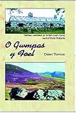 O gwmpas y foel