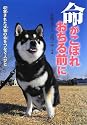 命がこぼれおちる前に―収容された犬猫の命をつなぐ人びと (感動ノンフィクションシリーズ)