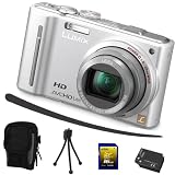 Panasonic Lumix TZ10 silber + Mega Zubehör ( 16GB + Tasche + 2Akkus + KFZ )