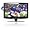 Coby TFDVD3295 32-Inch 720p Widescreen LCD HDTV/Monitor with DVD Player and HDMI Input (Black)