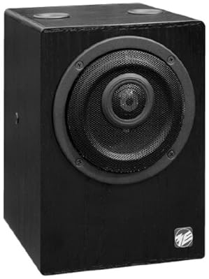 Musikelectronic Geithain RL906 ペア