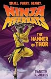 The hammer of Thor