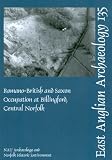 Romano-British and Saxon occupation at Billingford, Central Norfolk : excavation (1991-2 and 1997) and watching brief (1995-2002)