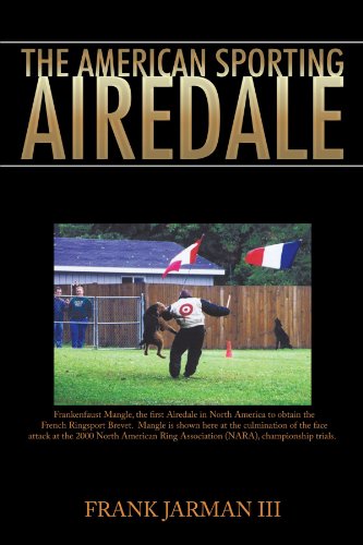 The American Sporting Airedale