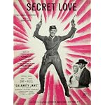 Secret Love (Doris Day and Howard Keel in Calamity Jane) book cover