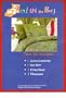 Dinosaur Twin Size Bed in a Bag Comforter Boys Bedroom