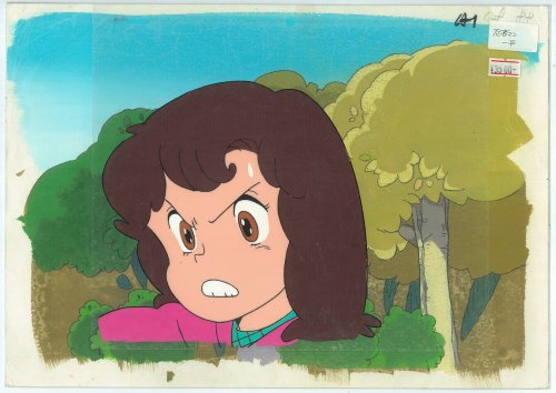 忍者マン一平,The Ninja Boy,فتى النينجا,Ninjaman Ippei,河合一慶,河合一庆