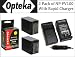 2 Pack of Sony NP-FV100 5 Hour Replacement Battery + Rapid AC/DC Battery Charger For The Sony DCR-SX44 DCR-SX63 DCR-SX83 DCR-SR68 DCR-SR88 SONY HDR-CX110 HDR-CX150 HDR-CX300 HDR-CX350 HDR-CX500V HDR-CX550V HDR-CXR150 XR350V XR550V