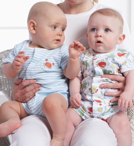 3 Pure Cotton Crab Print Shorties