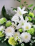 �J�T�u�����J �A�����W