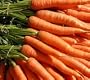 Baby Little Fingers Carrot Seeds 1.5 grams - Heirloom
