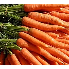 Carrot Baby Little Fingers Heirloom Seeds 400 Seeds